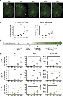 Oligomeric Forms of Human Amyloid-Beta(1–42) Inhibit Antigen Presentation